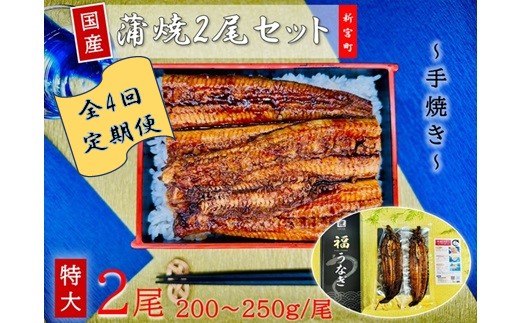 H050.【全4回定期便】国産うなぎ蒲焼2尾（計400～500g）