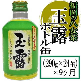 JA017.【全9回定期便】福岡の八女茶.玉露ボトル缶（290g×24缶）【八女茶】