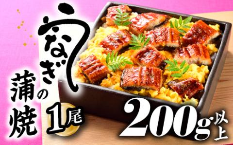 ZF120.うなぎの蒲焼１尾（計２００g以上）『１～２ヶ月前後でお届け！！』
