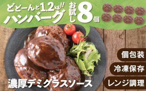 ZG146.累計４０万個突破記念！お試し1.2㎏!デミハンバーグ【150g×8個】