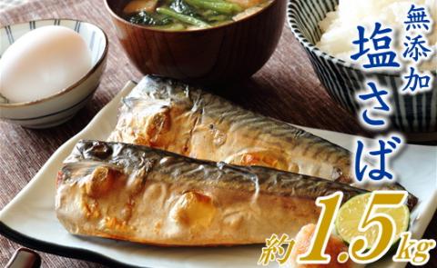 ZH148.バラ凍結で便利！塩さば（約1.5kg）