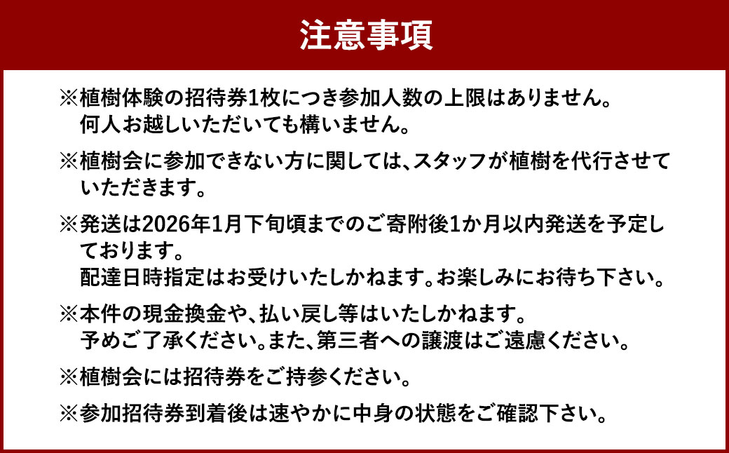 プランA久山の森の恵みと植樹体験