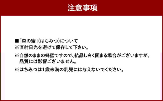 プランA久山の森の恵みと植樹体験