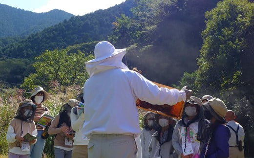 プラン（B）久山の森の恵み