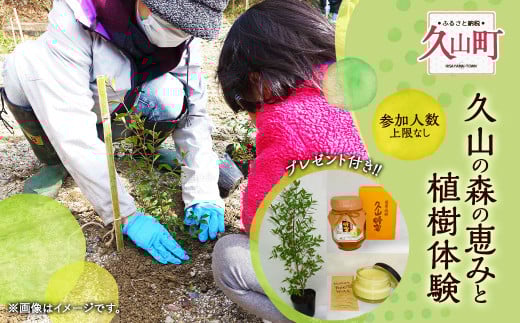 プランA久山の森の恵みと植樹体験