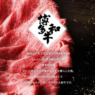 訳アリ!【A4～A5】博多和牛しゃぶしゃぶすき焼き用700g　AO022