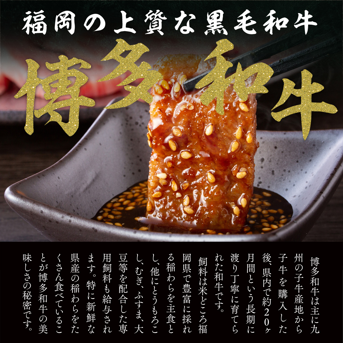 【A4～A5】博多和牛焼肉用 500g　AO006