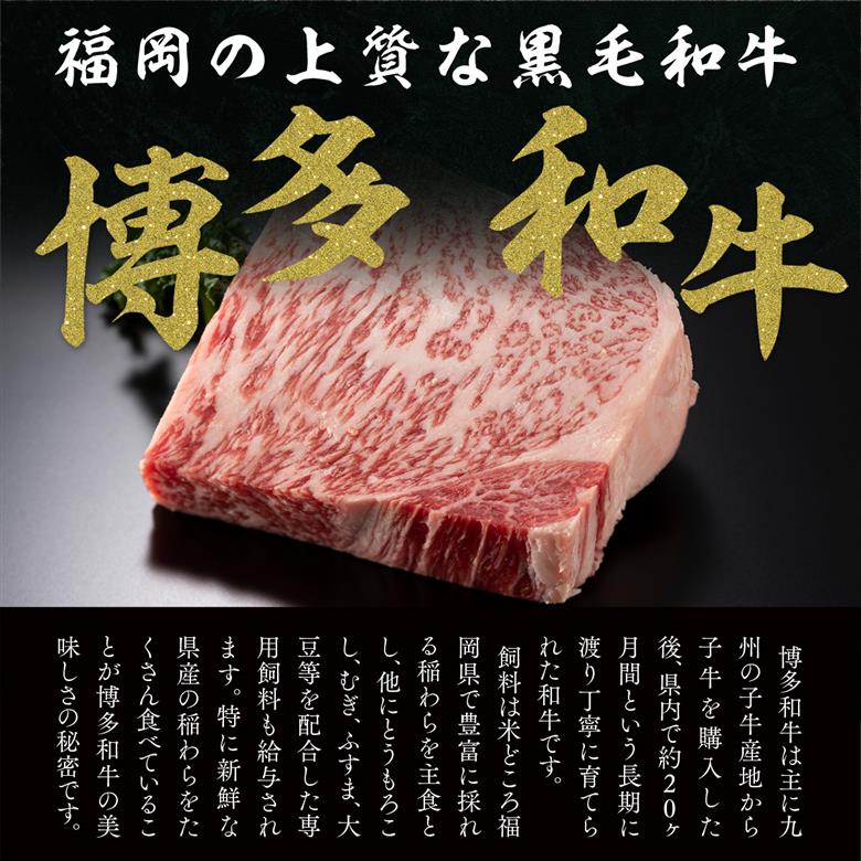 【A4～A5】博多和牛サーロインステーキ　250g　AO009