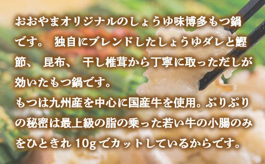 博多もつ鍋おおやま　しょうゆ味　2人前+もつ240ｇ AH016