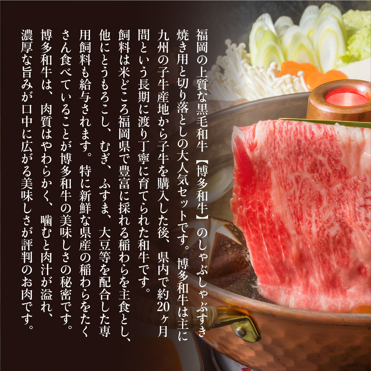 訳アリ!【A4～A5】博多和牛しゃぶしゃぶすき焼き750gセット　AO019