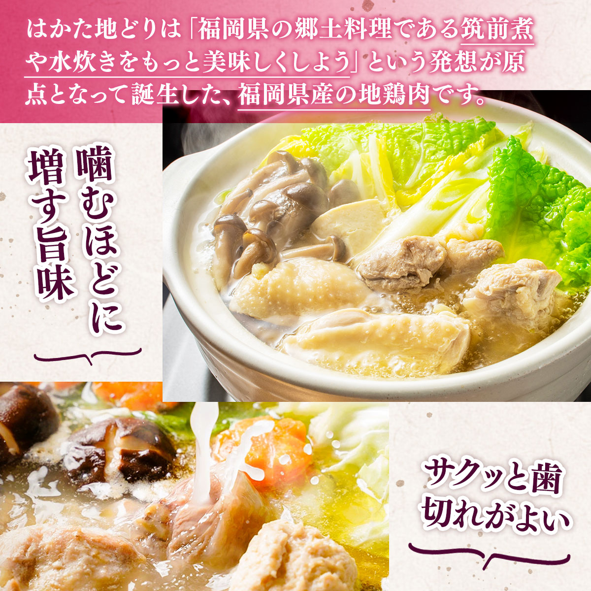 福岡限定!はかた地どり美人水炊き5種セット　2～3人前　AO045