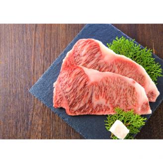 【A4～A5】博多和牛サーロインステーキセット 500g(250g×2枚)　AO010