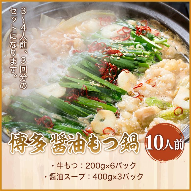 博多醤油もつ鍋　10人前セット　AO014