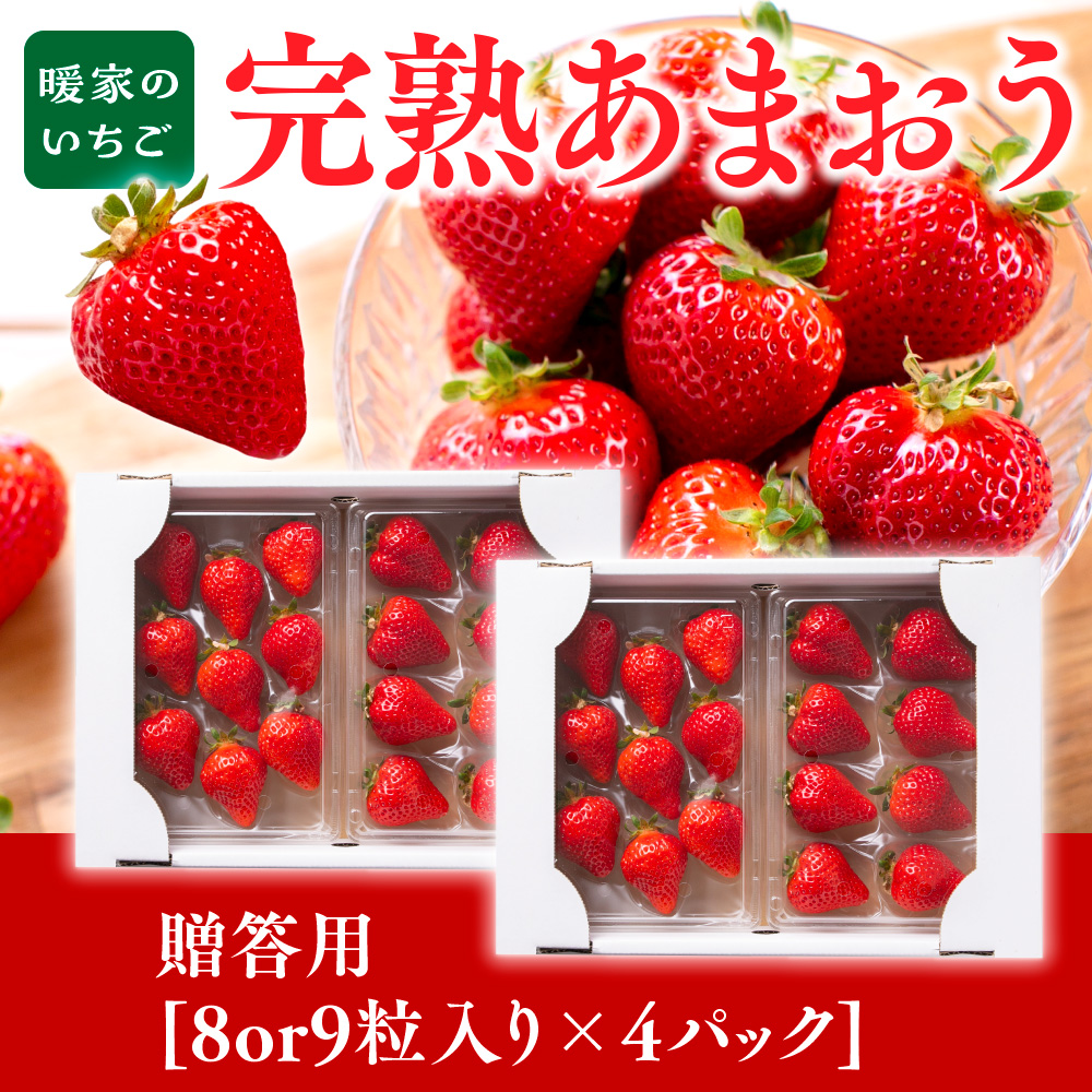 暖家のいちご　完熟あまおう　贈答用4パック【1月上旬以降順次発送】AB002