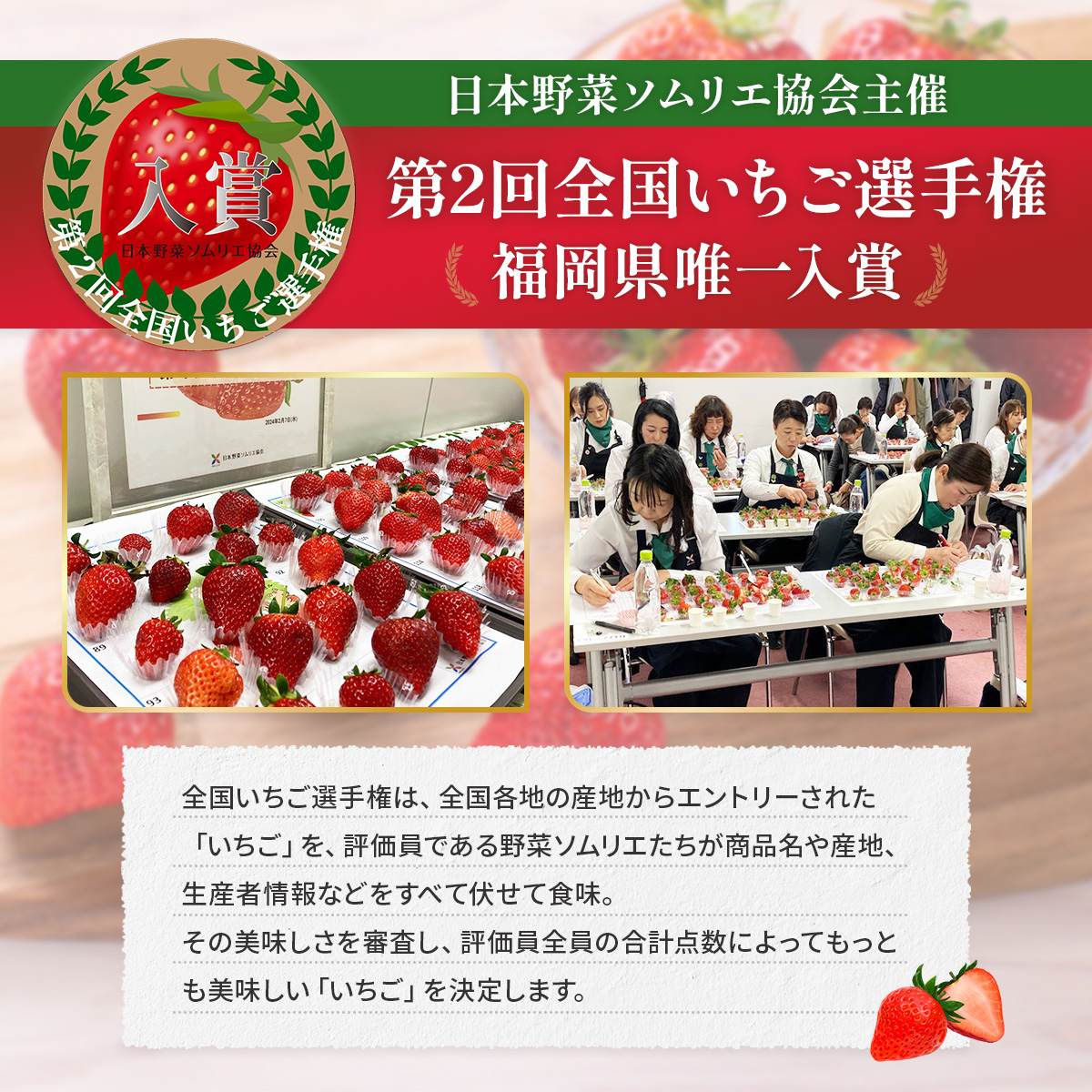 暖家のいちご 完熟あまおう 275g×4パック【3月中旬以降順次発送】　AB004