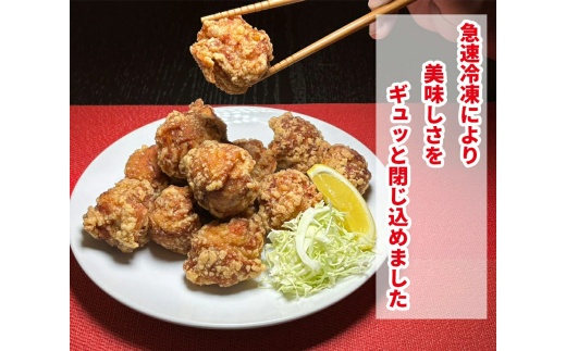 博多とよ唐亭 げんこつからあげ 800g 20個 BF001-2