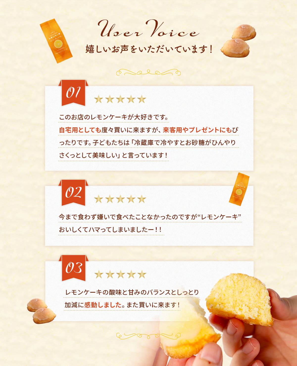 レモンケーキ ギフトbox 10個入り　BJ003