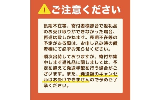 プレミアム半切海苔100枚 BA023-1