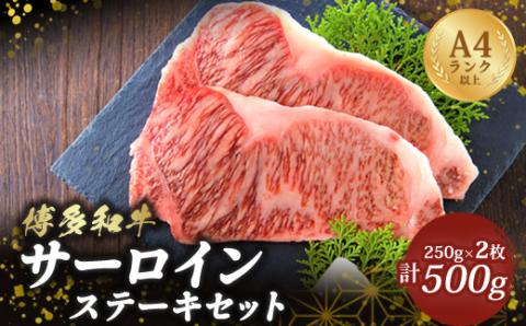【A4～A5】博多和牛サーロインステーキセット 500g(250g×2枚)　AO010