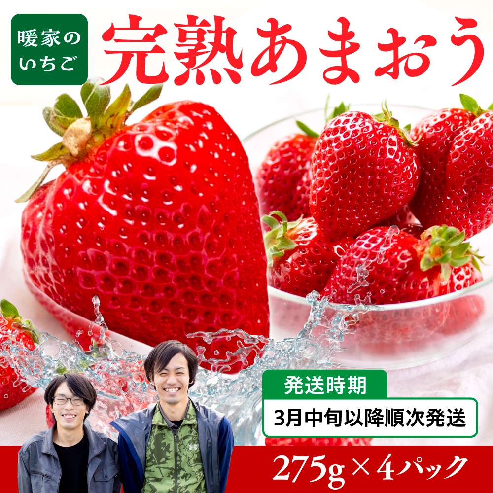 暖家のいちご 完熟あまおう 275g×4パック【3月中旬以降順次発送】　AB004