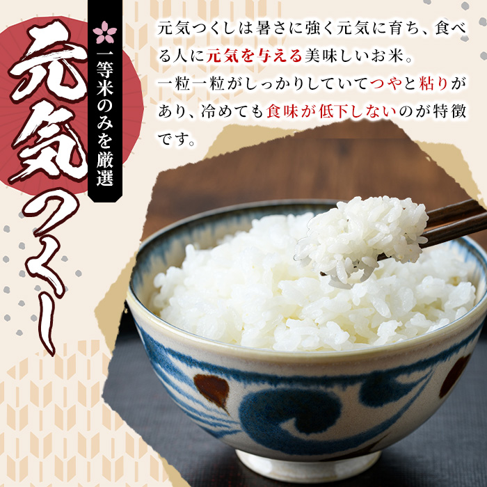 《白米》福岡県産ブランド米「元気つくし」(計20kg・5kg×4袋) 白米 米 お米 おこめ ごはん げんきつくし ご飯 常温 福岡県産 ブランド米 常温 常温保存 おにぎり おむすび お弁当 ライス【朝ごはん本舗】as05-056