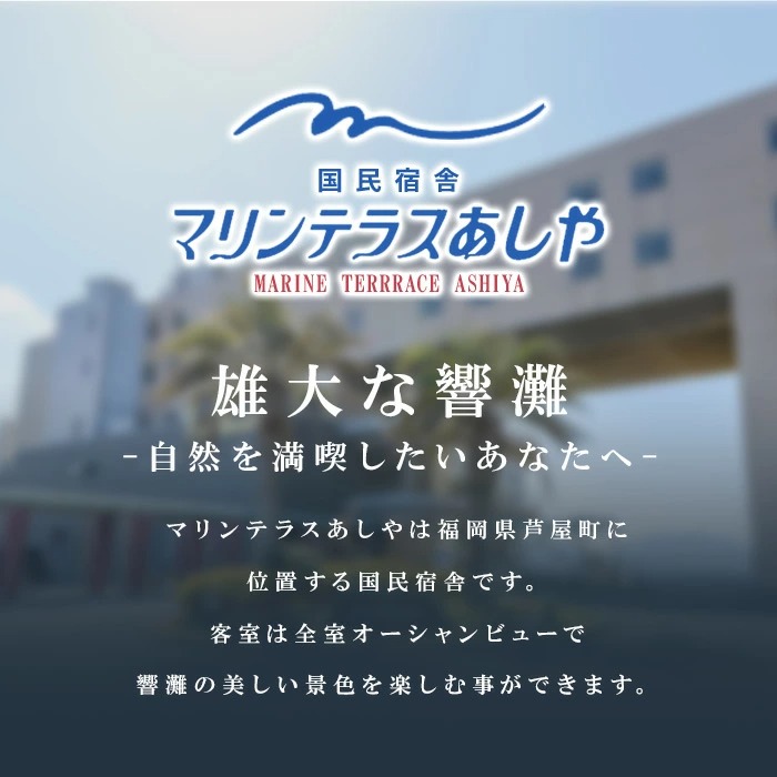 マリンテラスあしやのイカ明太(計450g・50g×9P) 明太 明太子 めんたい めんたいこ 海鮮 魚介 魚卵 いか イカ いかめんたい いか明太 セット 福岡 名物 おかず おつまみ 晩酌 冷凍【マリンテラスあしや】as13-008