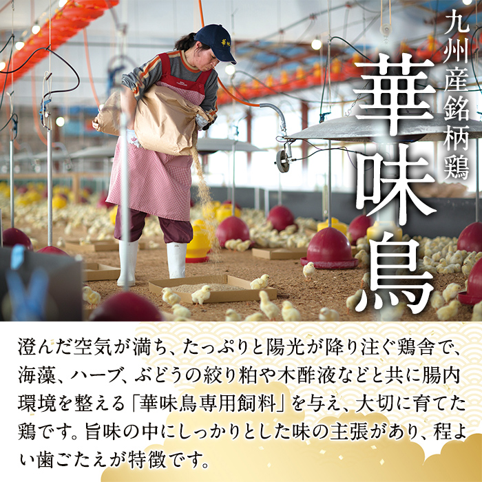博多華味鳥 もつ鍋セット HM-A1 (3～4人前) 醤油味 もつ鍋 モツ鍋 モツ 鍋 お鍋 スープ 鶏肉 華味鳥 牛 小腸 ホルモン ちゃんぽん ちゃんぽん麺 付き 冬 惣菜 冷凍 薬味【トリゼンフーズ】as24-003