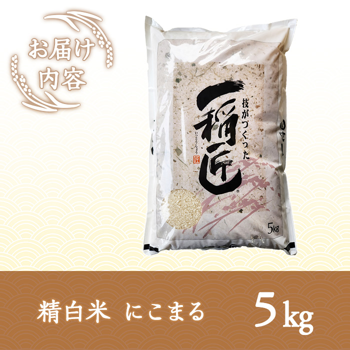 ≪令和7年産≫福岡県産 にこまる 白米(計5kg) 白米 米 お米 おこめ ごはん にこまる ご飯 常温 福岡県産 ブランド米 常温 常温保存 as32-002