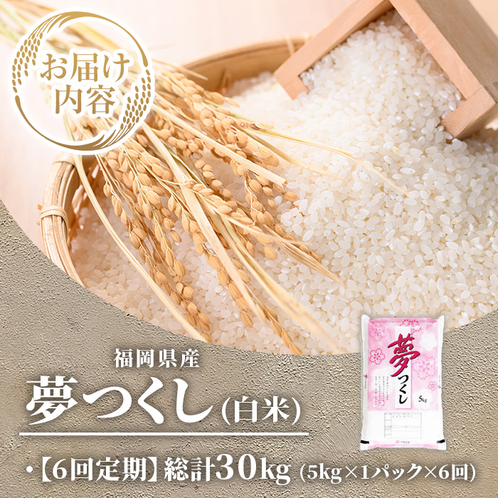 ≪令和7年産新米≫【6回定期便・白米】【食味鑑定士厳選】福岡県産 夢つくし(総計30kg・5kg×1袋×6回) 白米 米 お米 おこめ ごはん ゆめつくし ご飯 常温 福岡県産 ブランド米 定期便 定期 頒布会 常温 常温保存 【ファインリョーコク】as34-016
