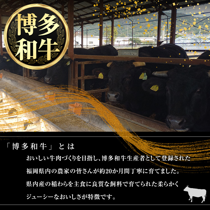 博多和牛肩ロースすき焼き用・博多和牛生ハンバーグ詰め合わせ(2種・総量1.1kg) 牛肉 ブランド牛 和牛 すき焼き しゃぶしゃぶ  おかず 惣菜 お弁当 個装 小分け 個包装 冷凍【JA全農ミートフーズ】as39-001