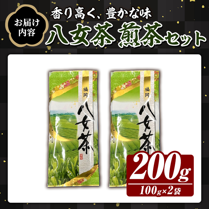 八女茶 煎茶 セット (100g×2袋) 茶 お茶 八女茶 煎茶 パック 福岡県産 【木村食品】as46-017