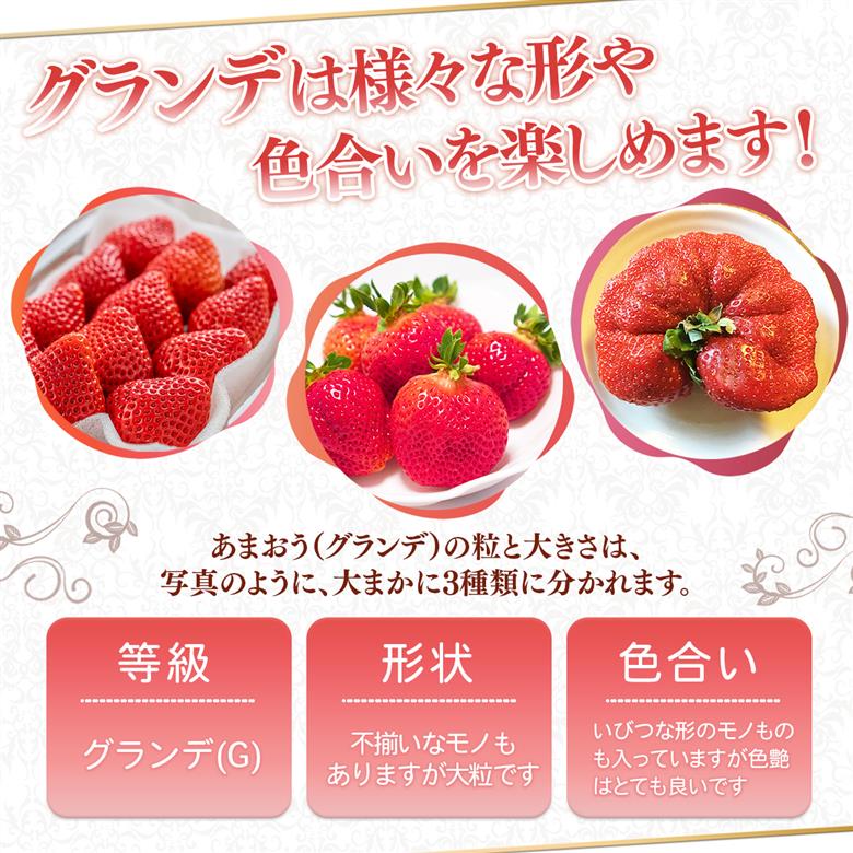 ＜先行予約受付中！2026年1月上旬以降順次発送予定＞ 福岡県産 あまおう (計500g・250g×2パック) いちご イチゴ 苺 ストロベリー 果物 フルーツ おやつ デザート スイーツ 福岡県 小分け アマオウ 1月発送 期間限定 数量限定 冷蔵 【エフビーネット】as47-003