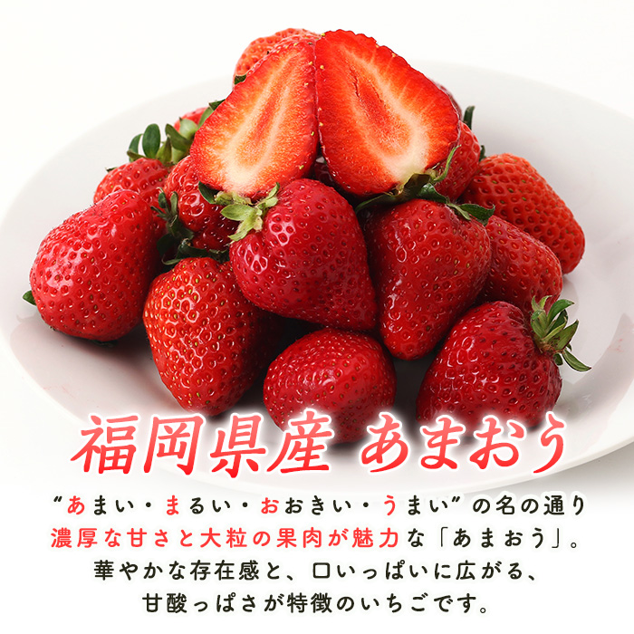 ＜先行予約受付中！2026年2月上旬より順次発送予定＞福岡県産 あまおう (計1kg・250g×4P) いちご イチゴ 苺 ストロベリー 果物 フルーツ おやつ デザート 1000g 4パック 冷蔵【錦屋商事】as48-001