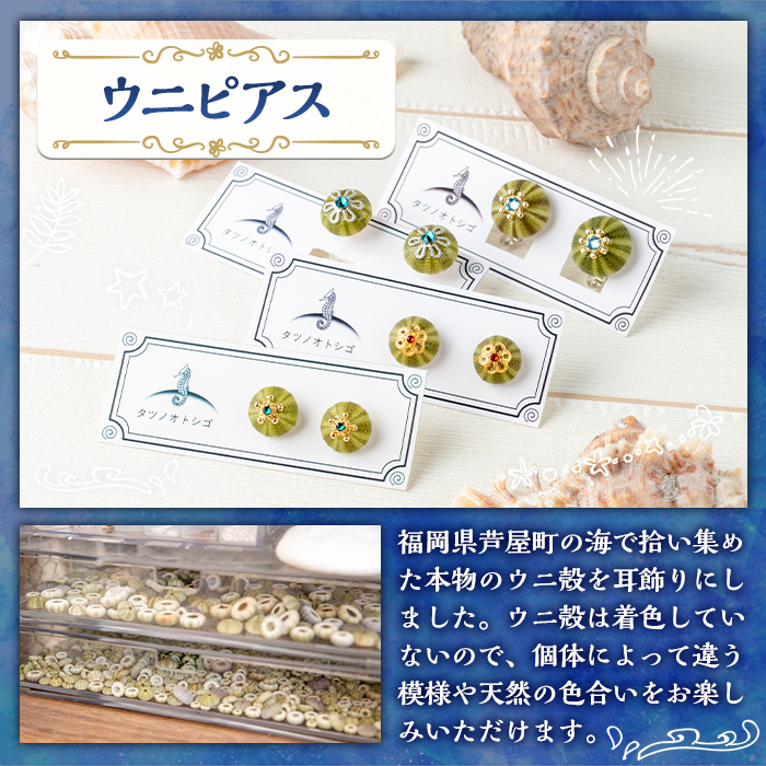 海アクセサリー ウニイヤリング (1セット) アクセサリー イヤリング ハンドメイド 手作り 耳飾り ギフト プレゼント 贈り物 雲丹 うに ウニ殻 1点もの オリジナル 数量限定 【タツノオトシゴ】as50-003