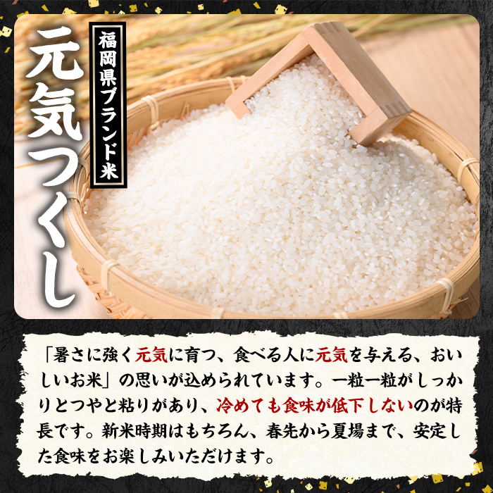福岡県ブランド米 元気つくし (10kg・5kg×2袋) お米 米 コメ おこめ こめ げんきつくし 白米 ごはん ご飯 福岡県産 ブランド米 常温 常温保存 おにぎり おむすび お弁当 【農産物直売所ほたるの里】as52-002