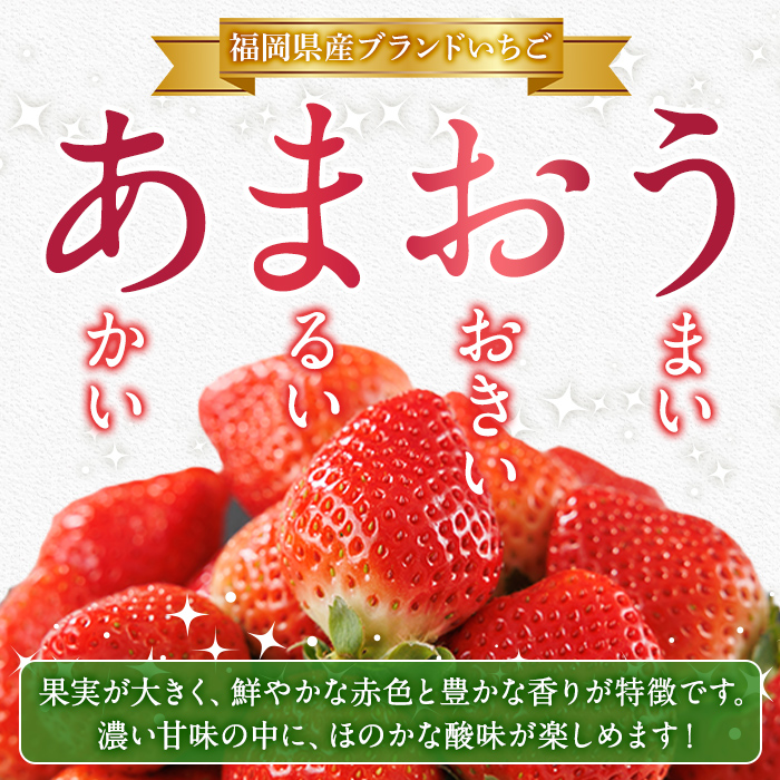 博多 あまおう《冬》 (計500g・250g～270g×2パック) いちご イチゴ 苺 ストロベリー 果物 フルーツ おやつ デザート 冷蔵 アマオウ 旬 小分け 【農産物直売所ほたるの里】as52-005