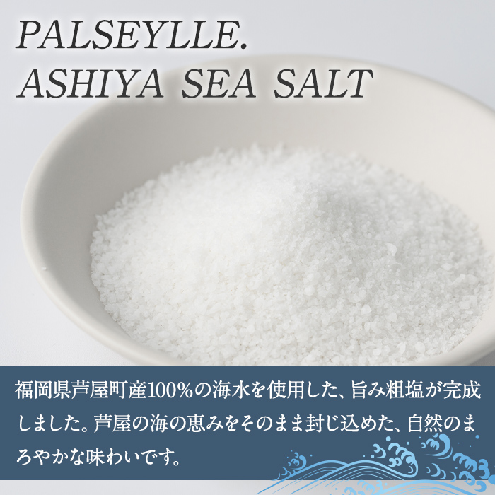 芦屋町の旨み粗塩 (100g) 塩 海水 福岡県 芦屋町 ソルト 低温乾燥製法 チャック付きしお あら塩 【パルセイユ】as04-027