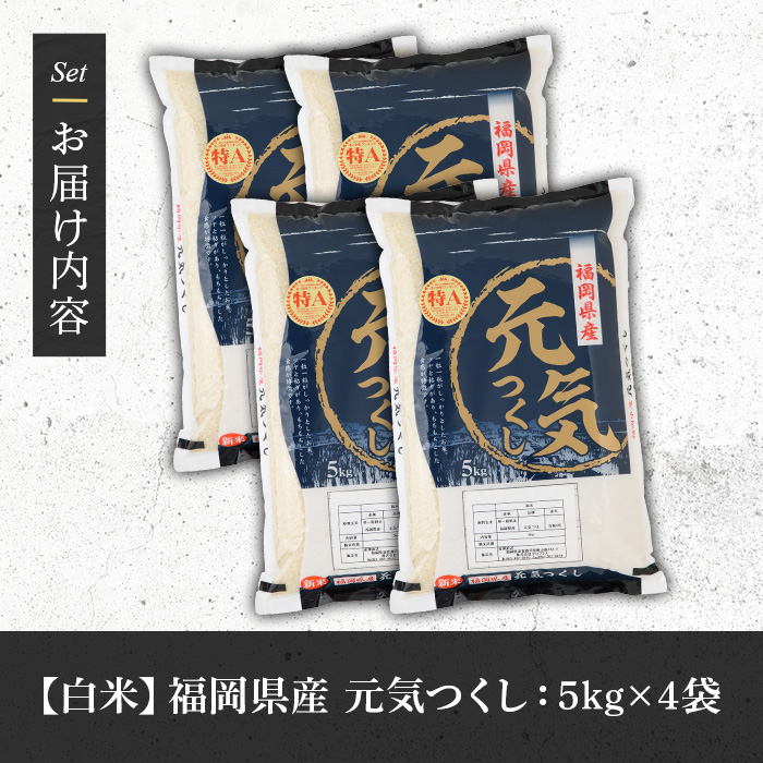 《白米》福岡県産ブランド米「元気つくし」(計20kg・5kg×4袋) 白米 米 お米 おこめ ごはん げんきつくし ご飯 常温 福岡県産 ブランド米 常温 常温保存 おにぎり おむすび お弁当 ライス【朝ごはん本舗】as05-056