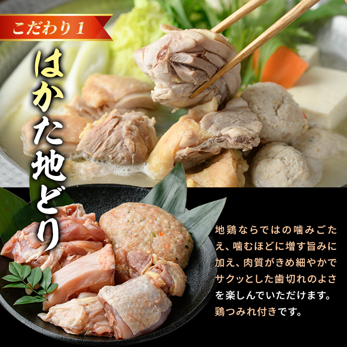 福岡限定!はかた地どり水炊き6種盛りセット(3～4人前) 福岡 水炊きセット 国産鶏 地鶏 地どり もも肉 つみれ 鶏肉 モモ肉 鶏もも肉 鶏ぶつ切り 鍋 鍋セット お鍋 スープ付き 【MEAT PLUS】 as08-030