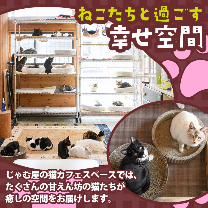 猫まみれになれる猫カフェチケット(4枚) チケット 猫 カフェ 体験 ネコ ねこ 保護猫 動物 カフェ利用チケット 保護猫カフェ 利用券 利用優待券 触れ合い ふれあい 体験型 動物カフェ 癒し 写真撮影 猫好き 【じゃむ屋】as15-006