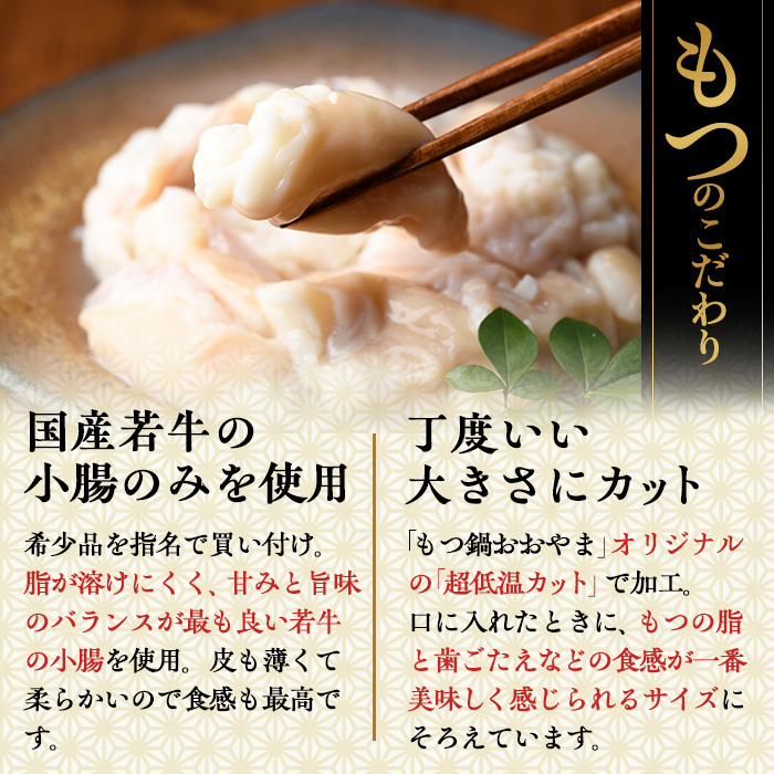 ≪みそ味≫博多もつ鍋おおやま もつ鍋(3人前) もつ モツ鍋 もつ鍋 もつなべ 鍋 みそ 味噌 味噌味 牛肉 牛 小腸 ホルモン 麺 ちゃんぽん ちゃんぽん麺【博多もつ鍋おおやま】as40-002