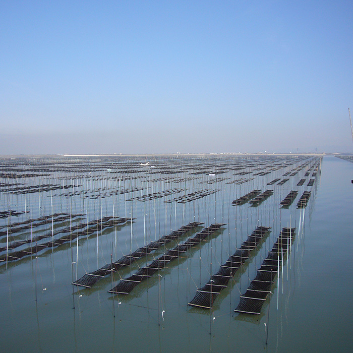 ≪訳あり≫福岡有明のり 焼き海苔(竹)(全形20枚) 海苔 のり ノリ 焼海苔 焼き海苔 やきのり 有明のり 有明海苔 おにぎり 常温 常温保存 小分け 福岡県 有明海産 訳アリ わけあり 不揃い 規格外 お試し おためし メール便 【木村食品】as46-029