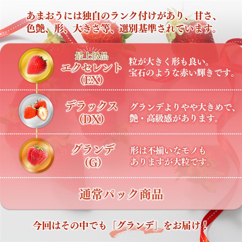 ＜先行予約受付中！2026年1月上旬以降順次発送予定＞ 福岡県産 あまおう (計500g・250g×2パック) いちご イチゴ 苺 ストロベリー 果物 フルーツ おやつ デザート スイーツ 福岡県 小分け アマオウ 1月発送 期間限定 数量限定 冷蔵 【エフビーネット】as47-003