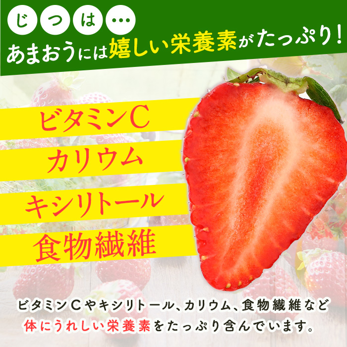 ＜先行予約受付中！2026年2月上旬より順次発送予定＞福岡県産 あまおう (計1kg・250g×4P) いちご イチゴ 苺 ストロベリー 果物 フルーツ おやつ デザート 1000g 4パック 冷蔵【錦屋商事】as48-001