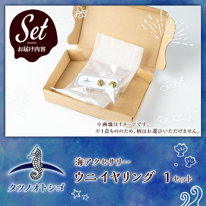 海アクセサリー ウニイヤリング (1セット) アクセサリー イヤリング ハンドメイド 手作り 耳飾り ギフト プレゼント 贈り物 雲丹 うに ウニ殻 1点もの オリジナル 数量限定 【タツノオトシゴ】as50-003
