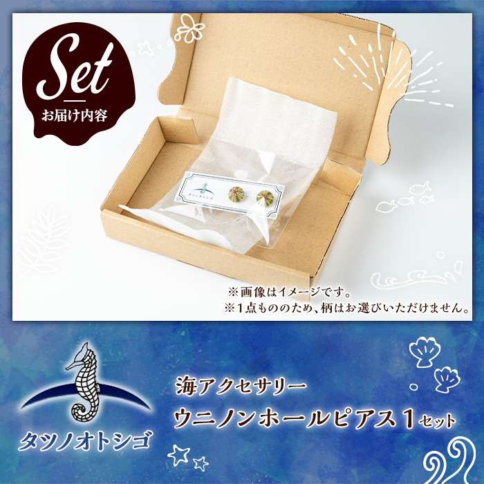 海アクセサリー ウニノンホールピアス (1セット) アクセサリー ピアス ノンホールピアス ハンドメイド 手作り 耳飾り ギフト プレゼント 贈り物 雲丹 うに ウニ殻 1点もの オリジナル 数量限定 【タツノオトシゴ】as50-004