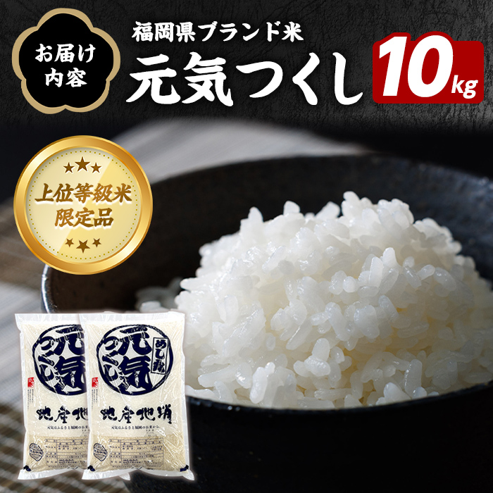 福岡県ブランド米 元気つくし (10kg・5kg×2袋) お米 米 コメ おこめ こめ げんきつくし 白米 ごはん ご飯 福岡県産 ブランド米 常温 常温保存 おにぎり おむすび お弁当 【農産物直売所ほたるの里】as52-002