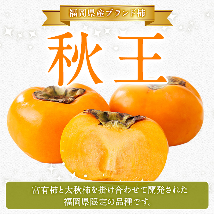 秋王 しっとり柿チップス (2袋) 柿 かき 秋王 ブランド 国産 福岡県 果物 フルーツ おやつ チップス 常温 常温保存 スナック お菓子 ドライフルーツ メール便 【農産物直売所ほたるの里】as52-019