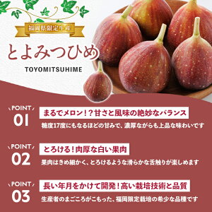 ＜先行予約受付中！2026年8月下旬～10月下旬に順次発送予定＞福岡県ブランドいちじく とよみつひめ (計約1.2kg・300g×4P) いちじく イチジク 無花果 生 国産 フルーツ 果物 くだもの オリジナルブランド デザート 期間限定 【農産物直売所ほたるの里】as52-030