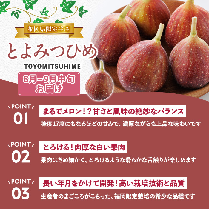 ＜定期便・年4回＞旬の福岡 フルーツ定期便(あまおう1kg/とよみつひめ1.2kg/早味かん3kg/甘うぃ3.6kg) いちご 苺 あまおう いちじく イチジク 無花果 みかん ミカン 蜜柑 キウイ あまうい 甘うい フルーツ 果物 定期便 頒布会 【農産物直売所ほたるの里】as52-033